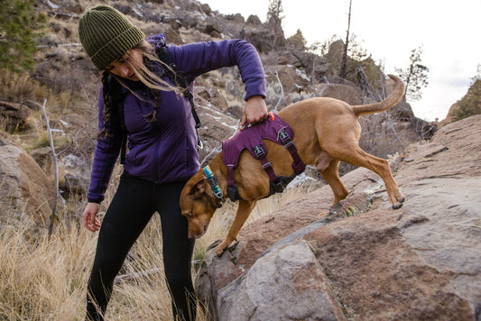 Trailhead Take-off: Updated Ruffwear Web Master Design!