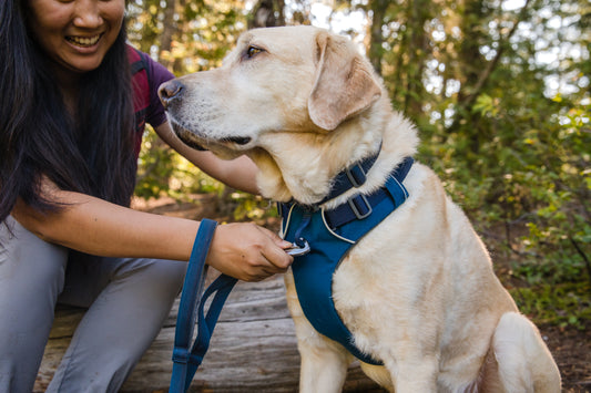 Measuring & Fitting Your Ruffwear Front Range Harness