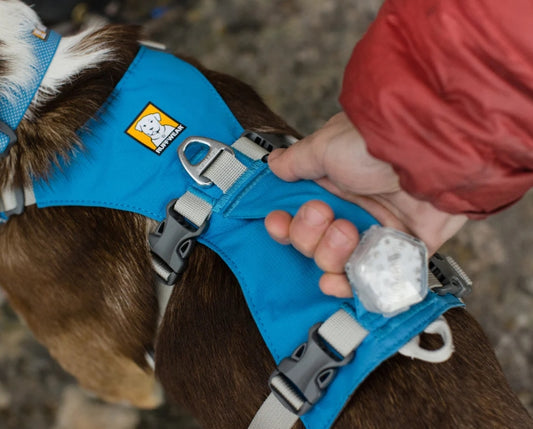 A Comparison of Ruffwear Harnesses 2022