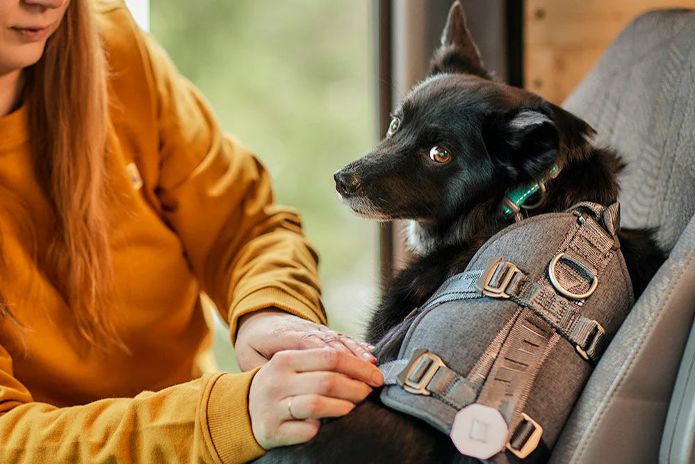 Hurtta - Travel Car Harness ECO