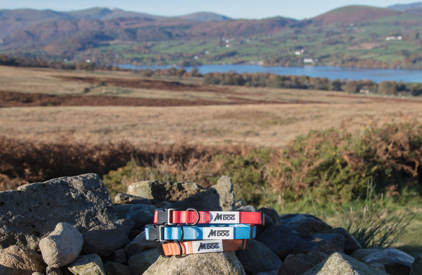 MDOG - Lakeland Waterproof Collar - Winter Sale