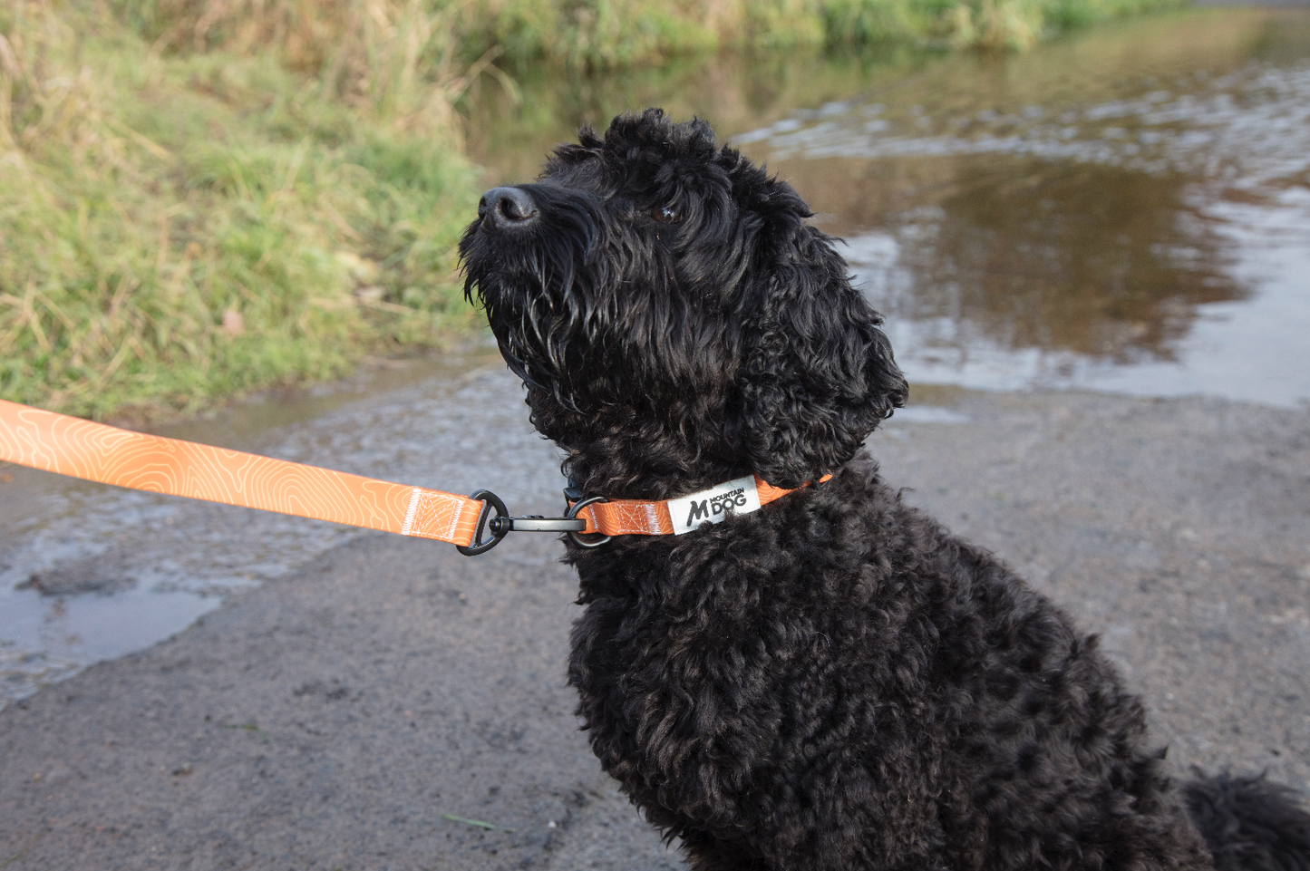 MDOG - Lakeland Waterproof Lead - Winter Sale