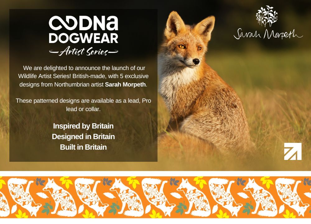DNA - Artist Wildlife Pro Lead *Spring Sale*