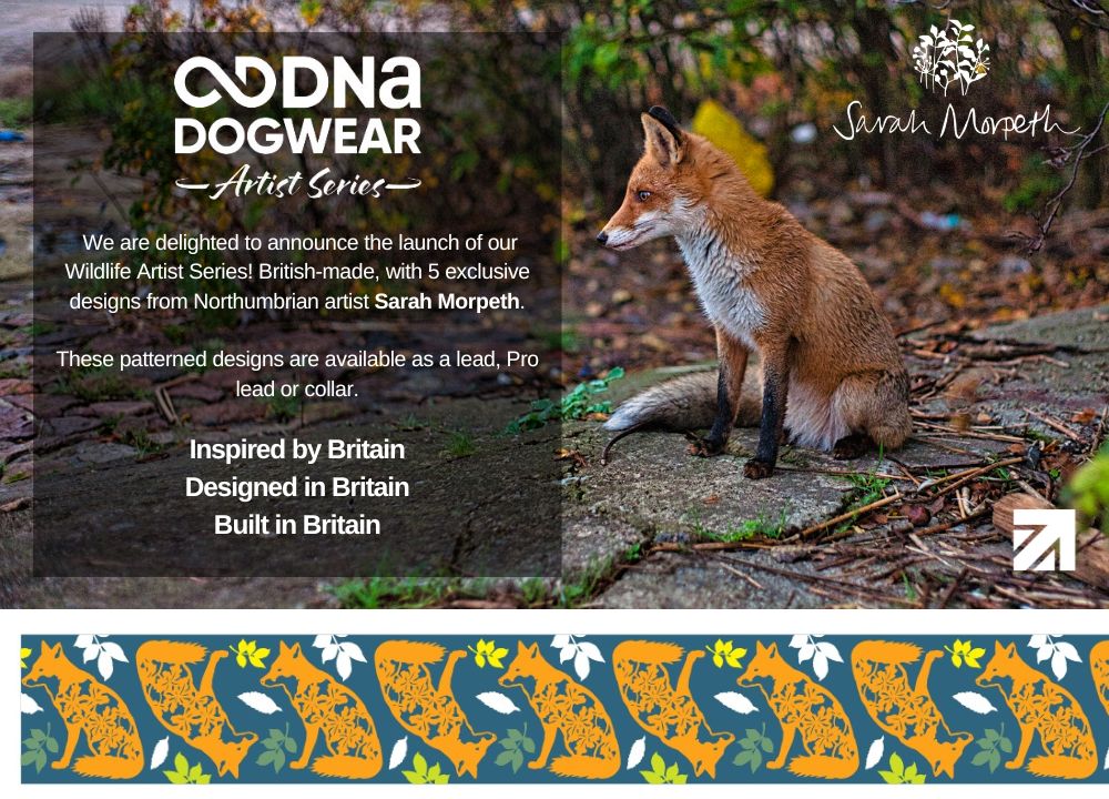 DNA - Artist Wildlife Pro Lead *Spring Sale*
