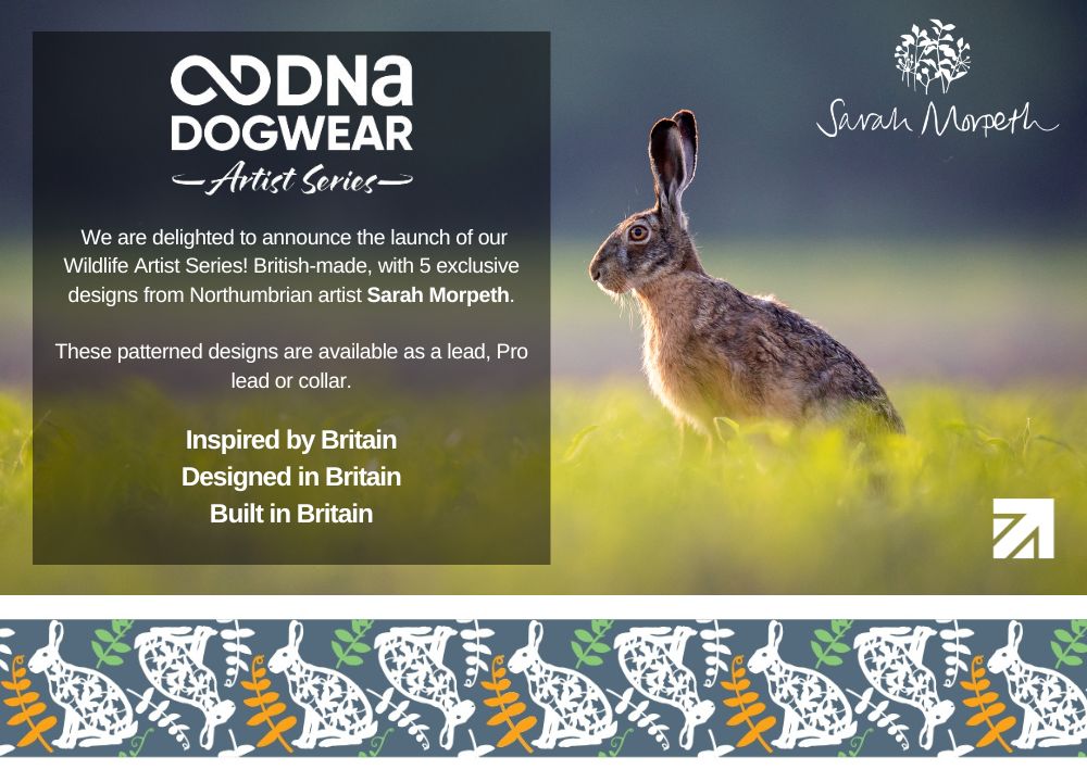 DNA - Artist Wildlife Pro Lead *Spring Sale*