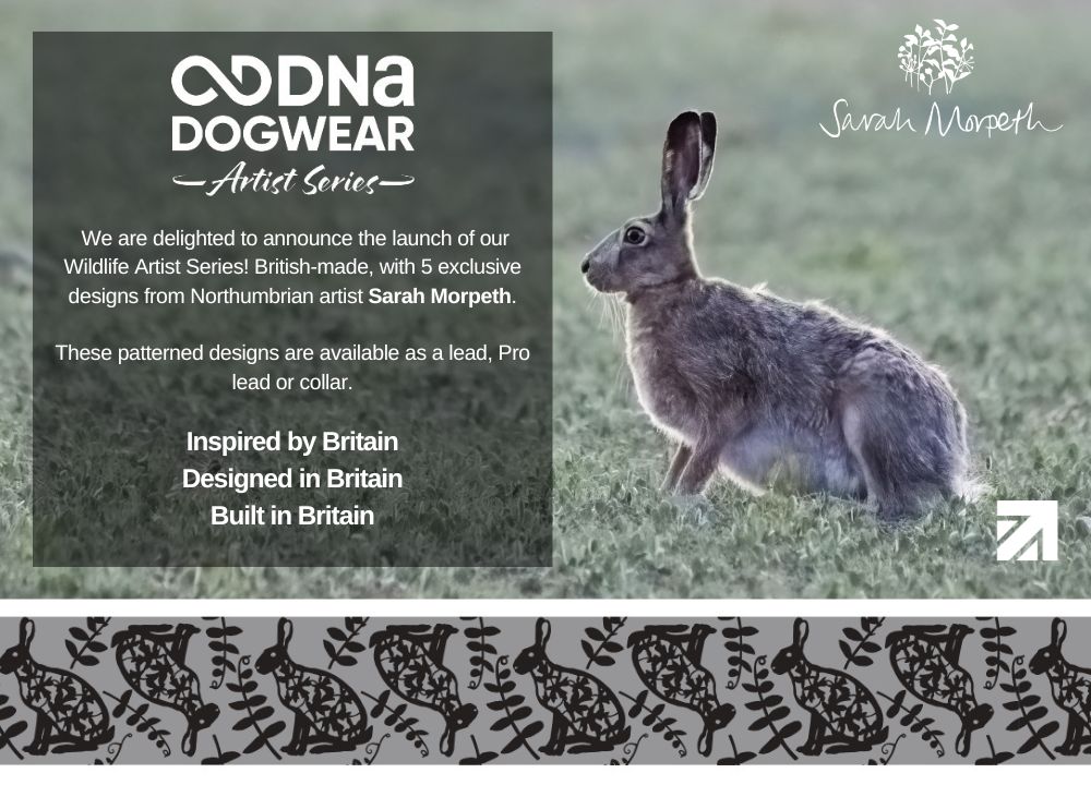 DNA - Artist Wildlife Pro Lead *Spring Sale*