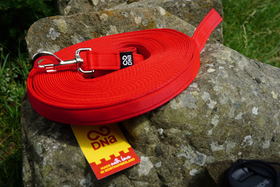 DNA - Explorer Long Line - Options 5m to 20m - Handle or No Handle