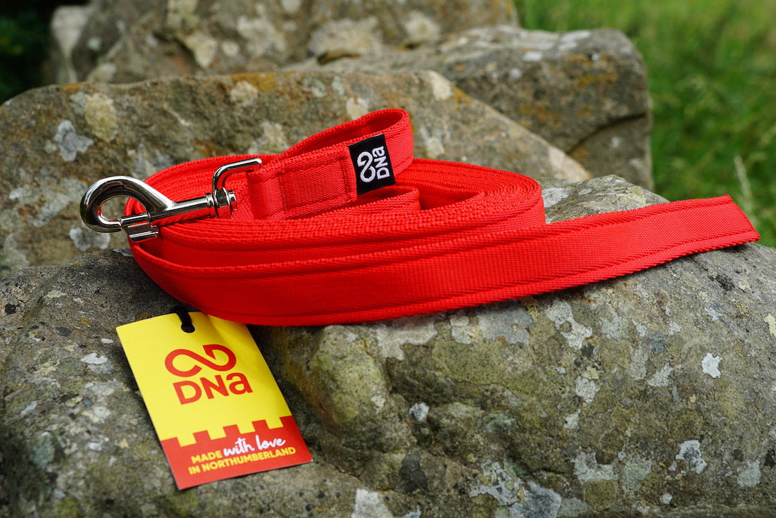 DNA - Explorer Long Line - Options 5m to 20m - Handle or No Handle
