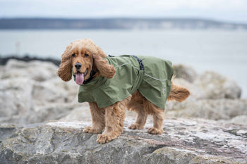 Coats, Jackets & Overalls