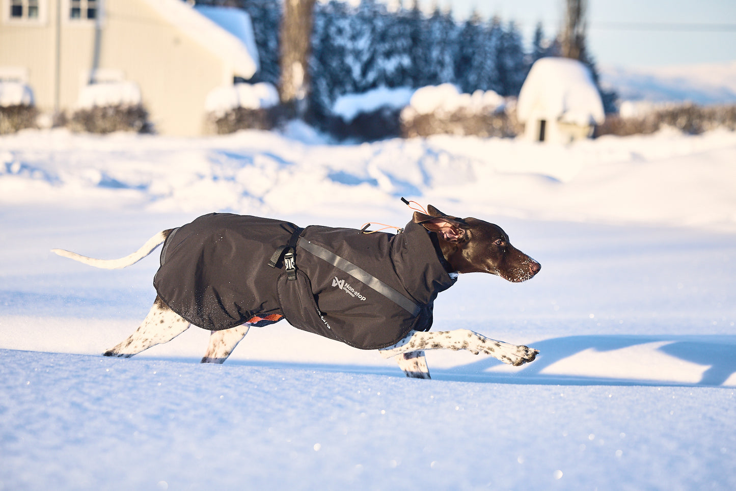 Non-stop - Trekking Insulated Dog Jacket