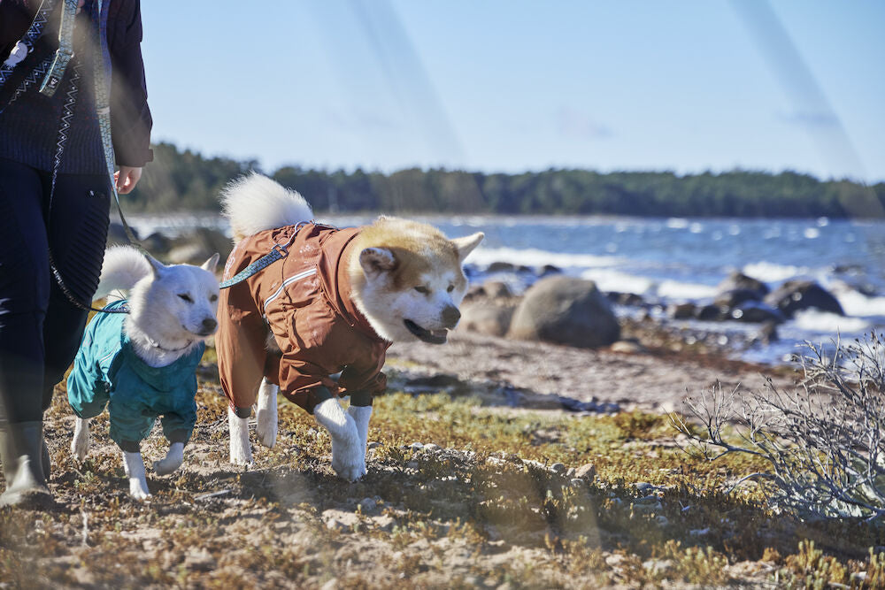 Hurtta - Mudventure Overall ECO *AUTUMN SALE*WHILE STOCKS LAST ONLY*FINAL FEW*