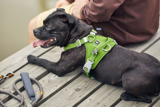 Hurtta - Weekend Warrior Harness II ECO *AUTUMN SALE*WHILE STOCKS LAST ONLY*
