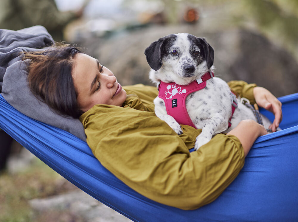 Hurtta - Weekend Warrior Harness II ECO *AUTUMN SALE*WHILE STOCKS LAST ONLY*