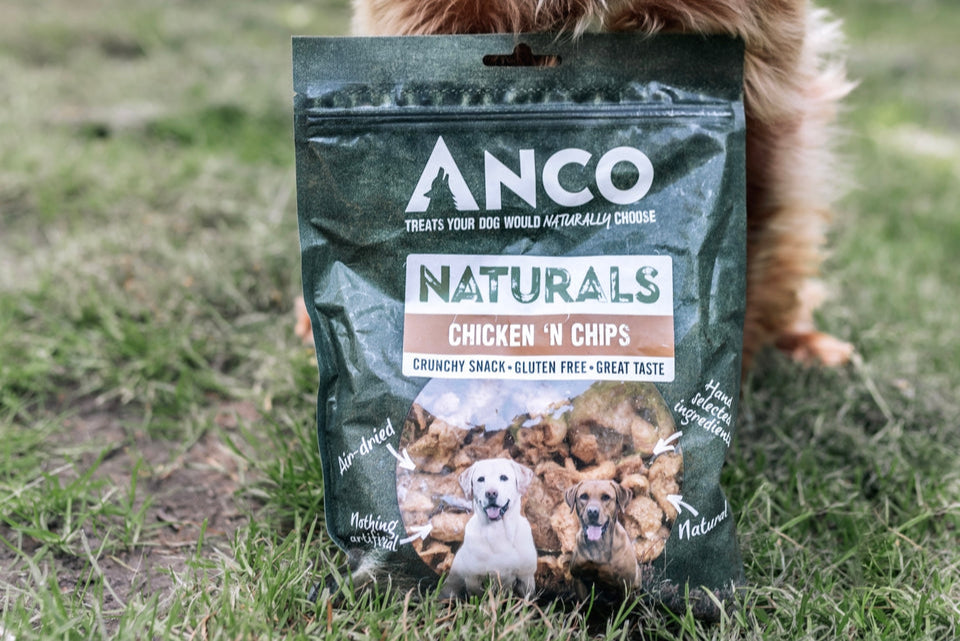 Dog sitting next to a bag of ANCO Naturals Chicken 'n Chips treats.