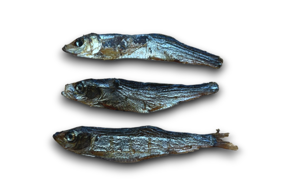 Three dried sprats on a clear background.