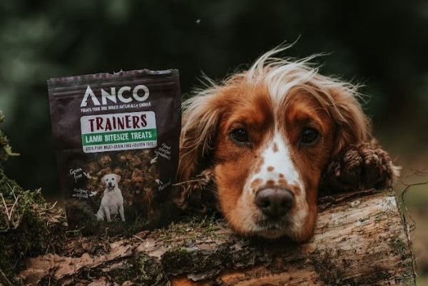Dog lying on a log with an Anco Trainers treat package on a log.