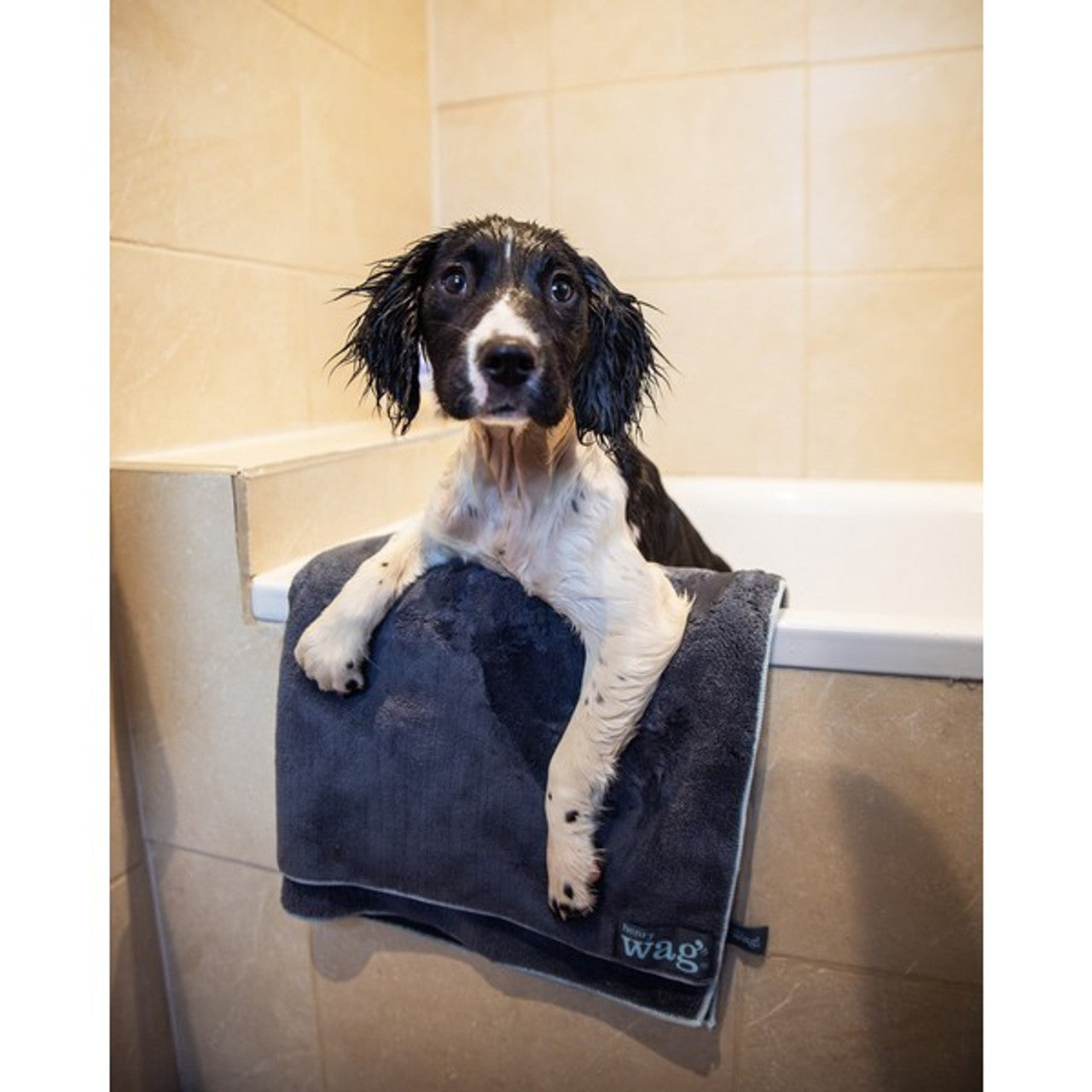 Wet dog sat inside of a bathtub, with the Henry Wag Microfibre Towel ready to dry them.