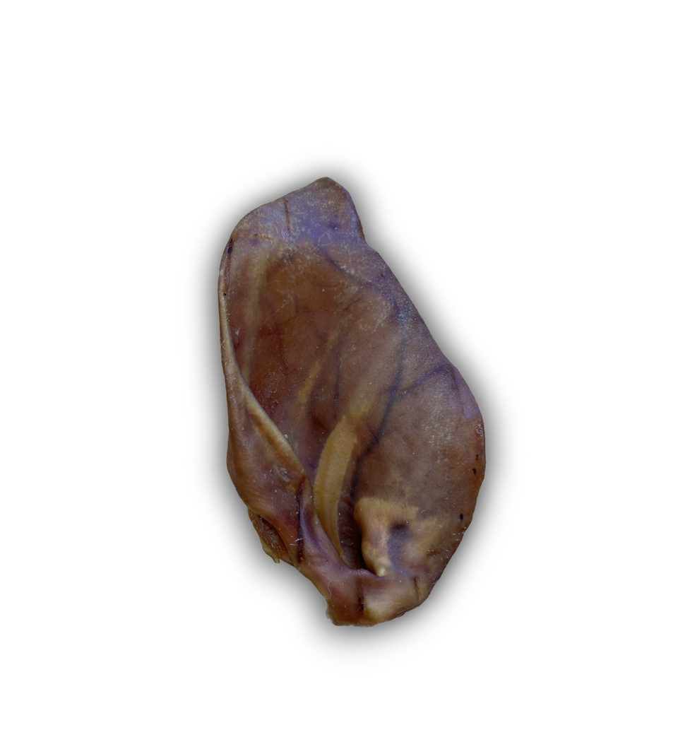 Pig ear on a clear background.