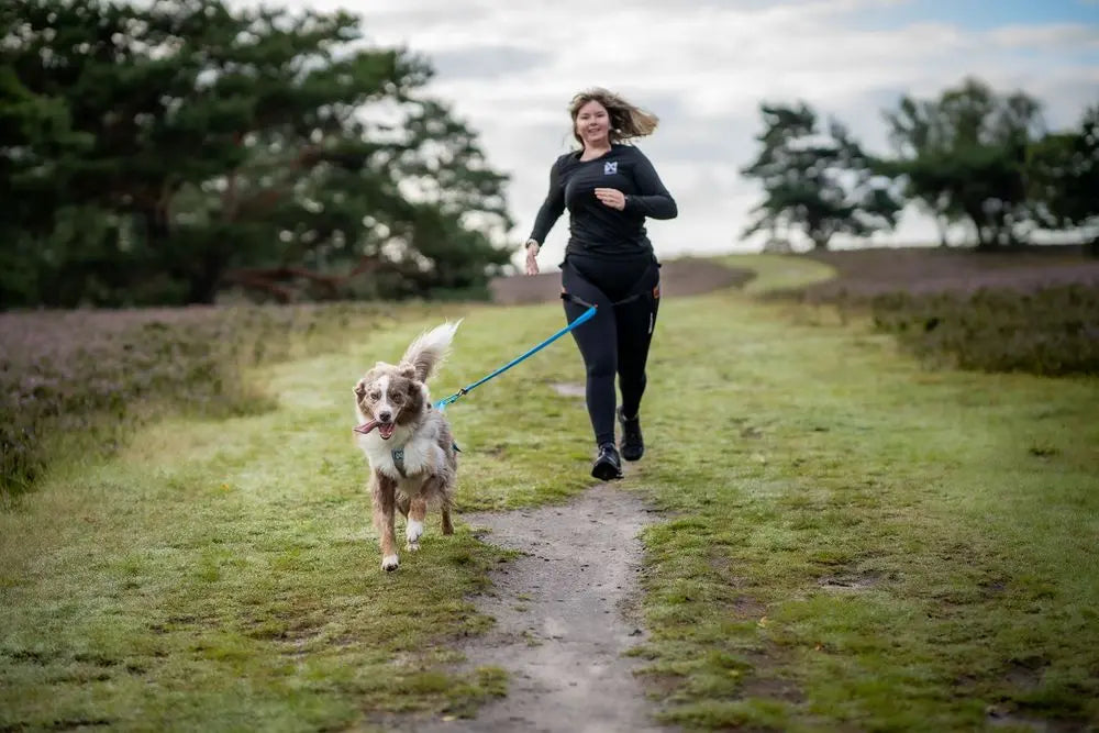 Lifestyle image of the blue Bungee Lead, with a dog running ahead while their owner runs behind them.