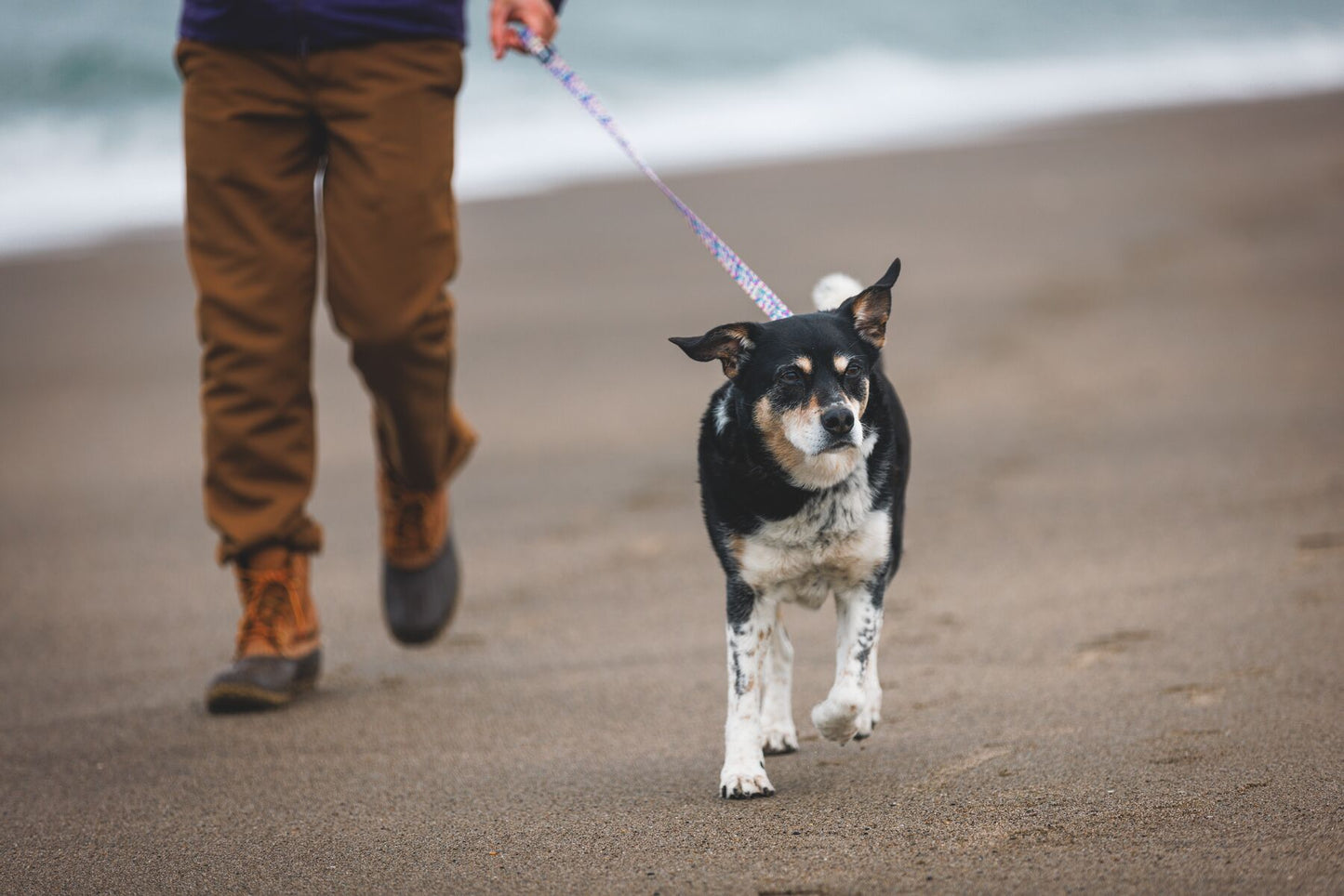 Lifestyle image of the Front Range Lead, showing an owner holding the lead and a dog walking ahead.