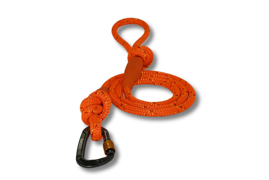 DNA - Ascent - Sherpa Double Secure Lead