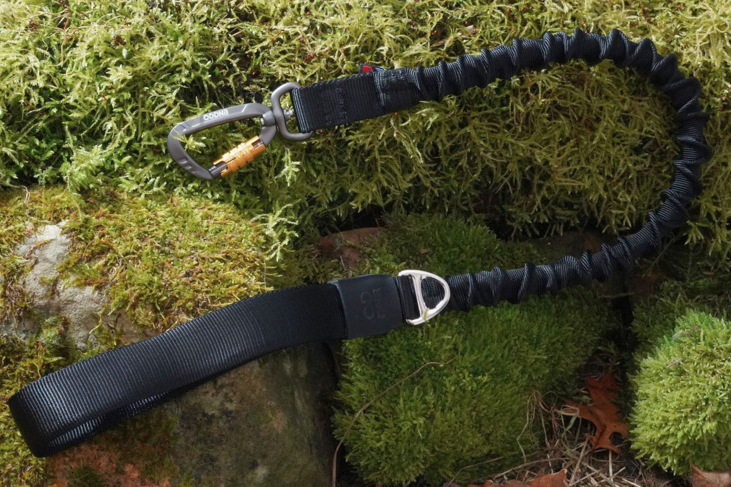 DNA - Shock Lead