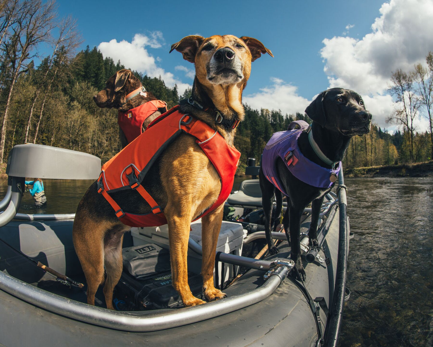 Ruffwear - Confluence Life Jacket