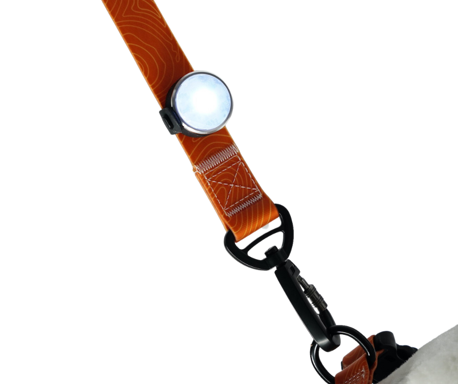 MDOG - Aurora Rechargeable Glow Light - 1 for £9.99 or 2 For 14.99