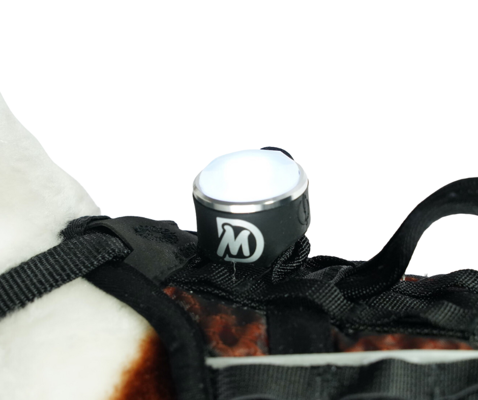 MDOG - Aurora Rechargeable Glow Light - 1 for £9.99 or 2 For 14.99