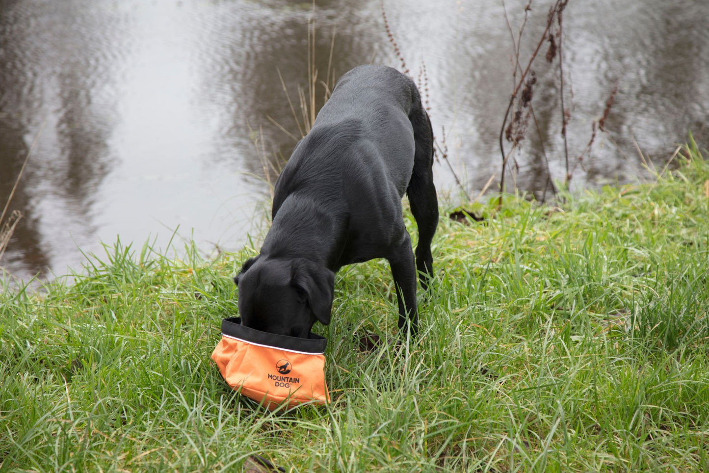 MDOG - Collapsible Large Travel Bowl *WINTER SALE*