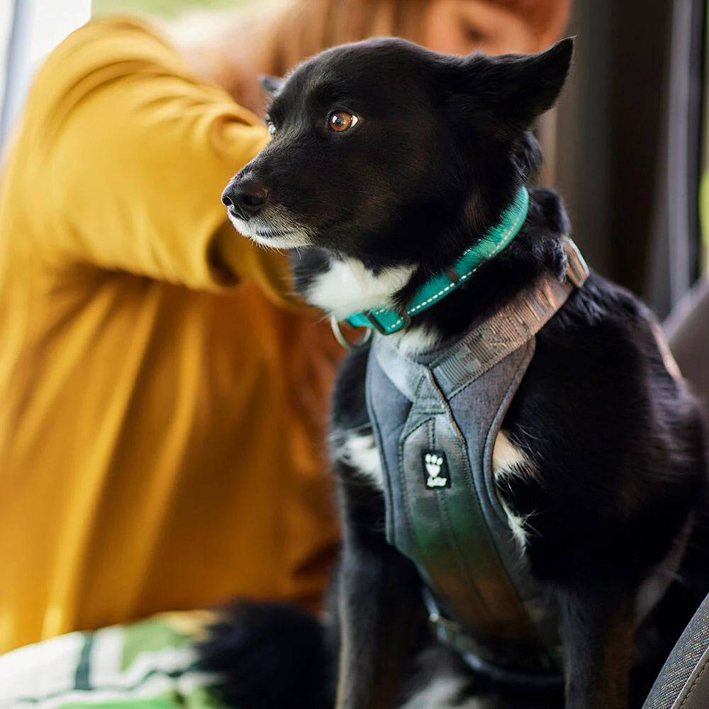 Hurtta - Travel Car Harness ECO