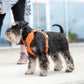 DOG Copenhagen - Comfort Walk Pro Harness *Latest Version*