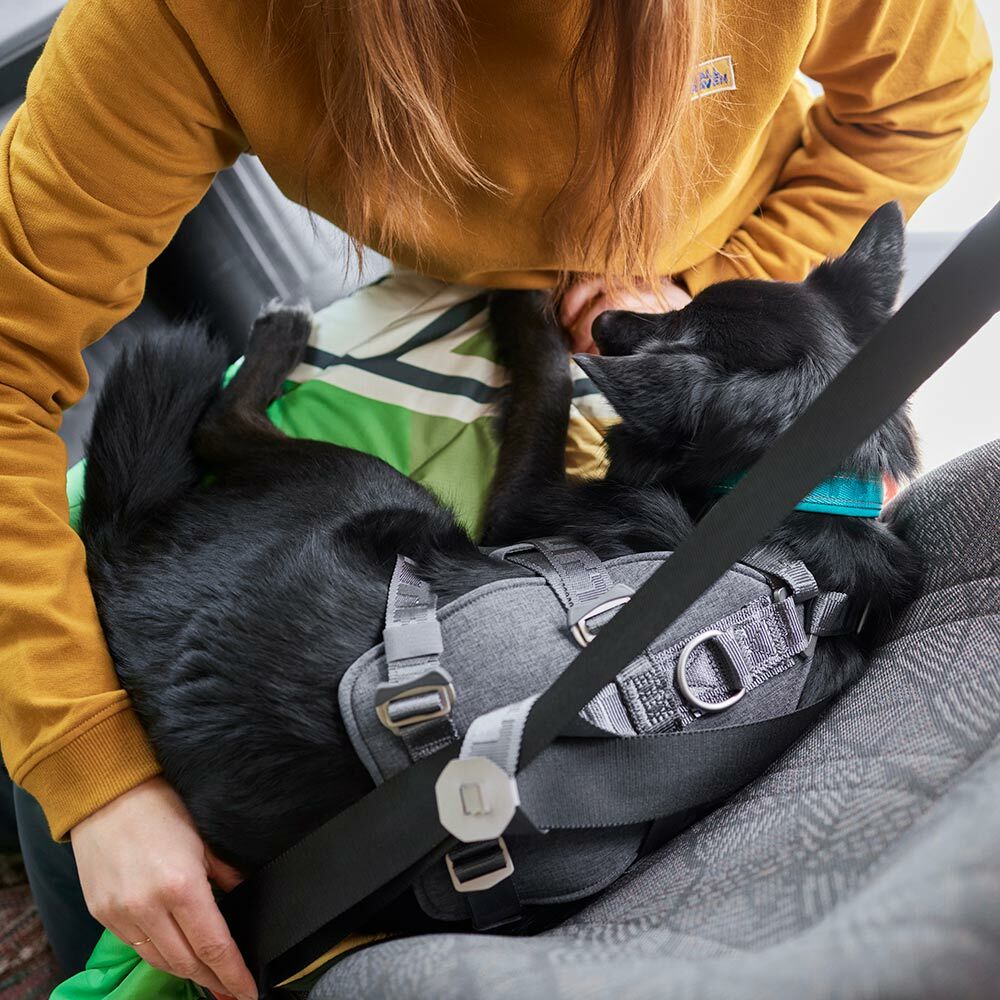 Hurtta - Travel Car Harness ECO
