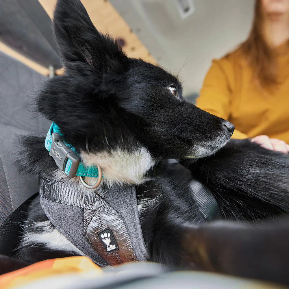 Hurtta - Travel Car Harness ECO