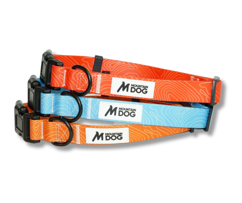 MDOG - Lakeland Waterproof Collar - Winter Sale