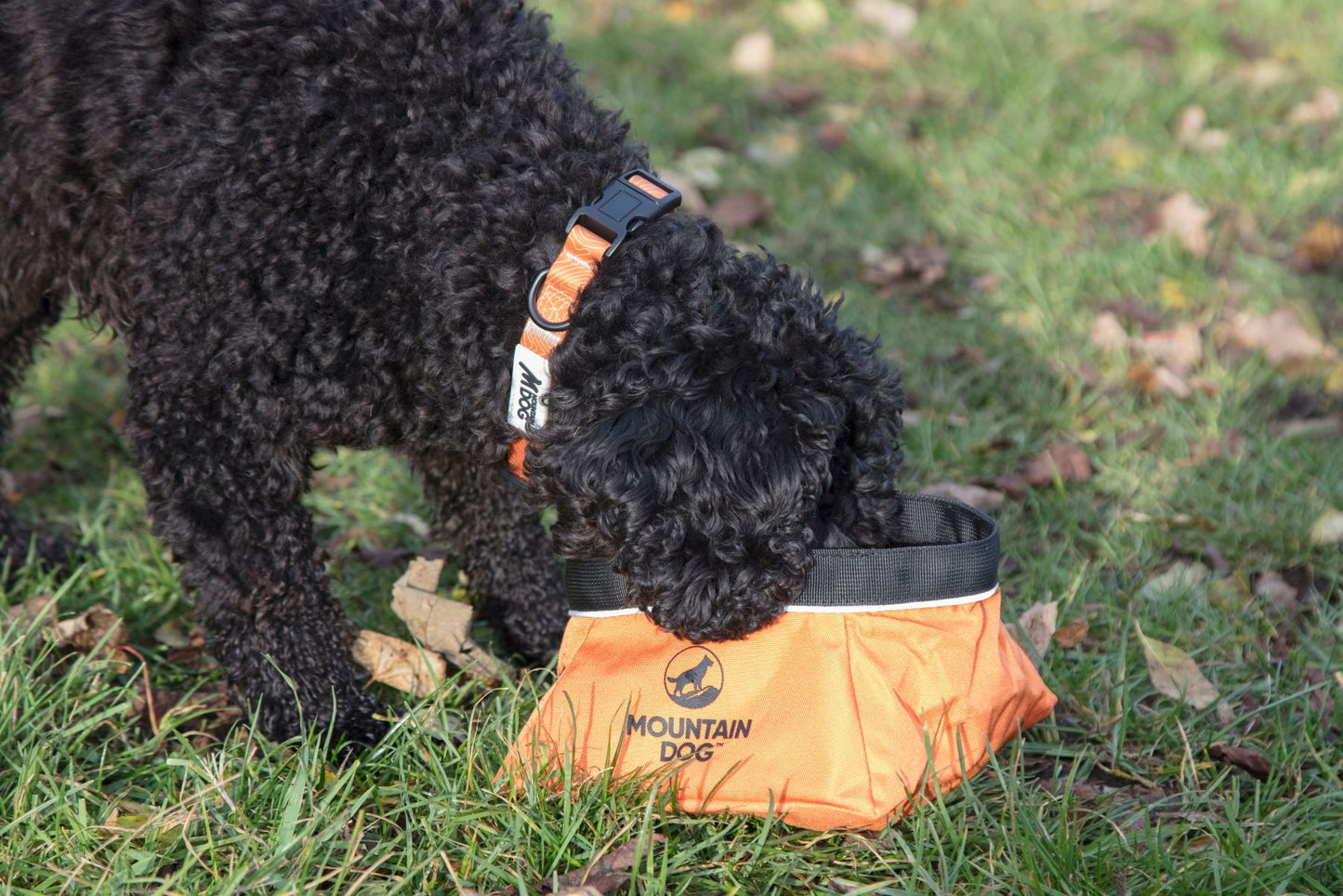 MDOG - Collapsible Large Travel Bowl *WINTER SALE*