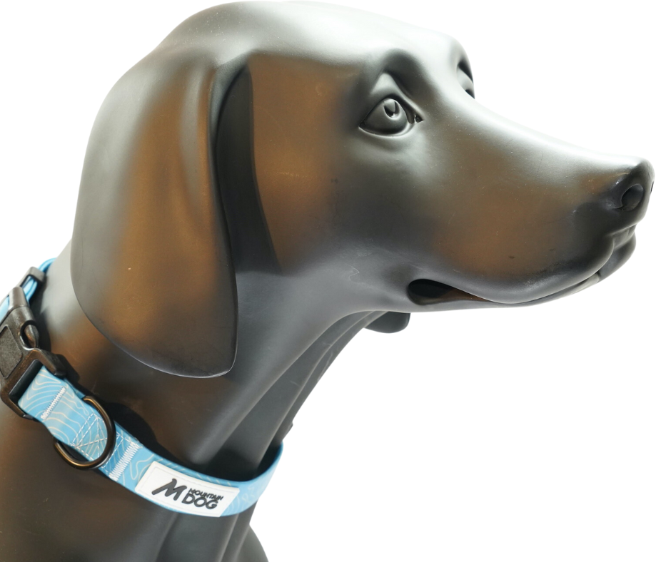 MDOG - Lakeland Waterproof Collar - Winter Sale