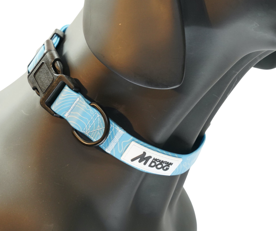MDOG - Lakeland Waterproof Collar - Winter Sale