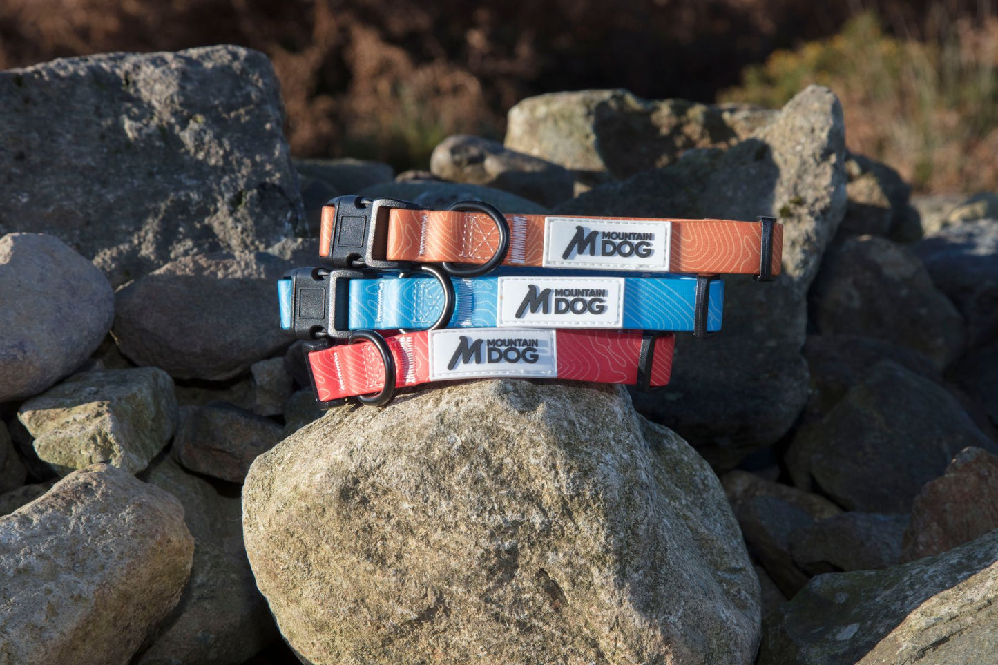 MDOG - Lakeland Waterproof Collar - Winter Sale