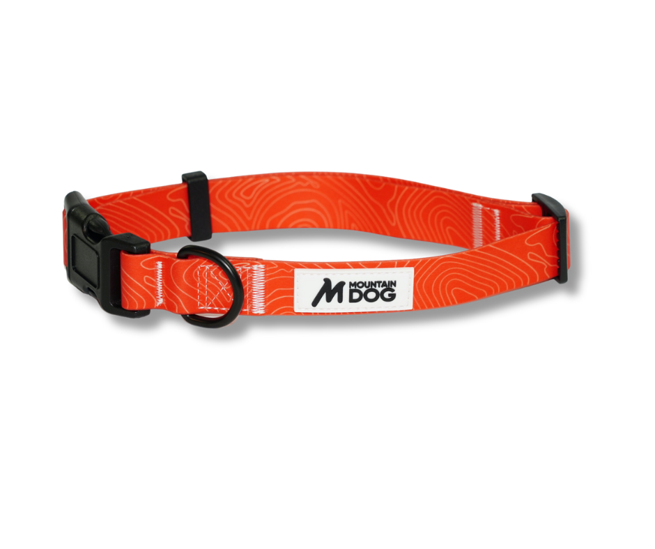 MDOG - Lakeland Waterproof Collar - Winter Sale
