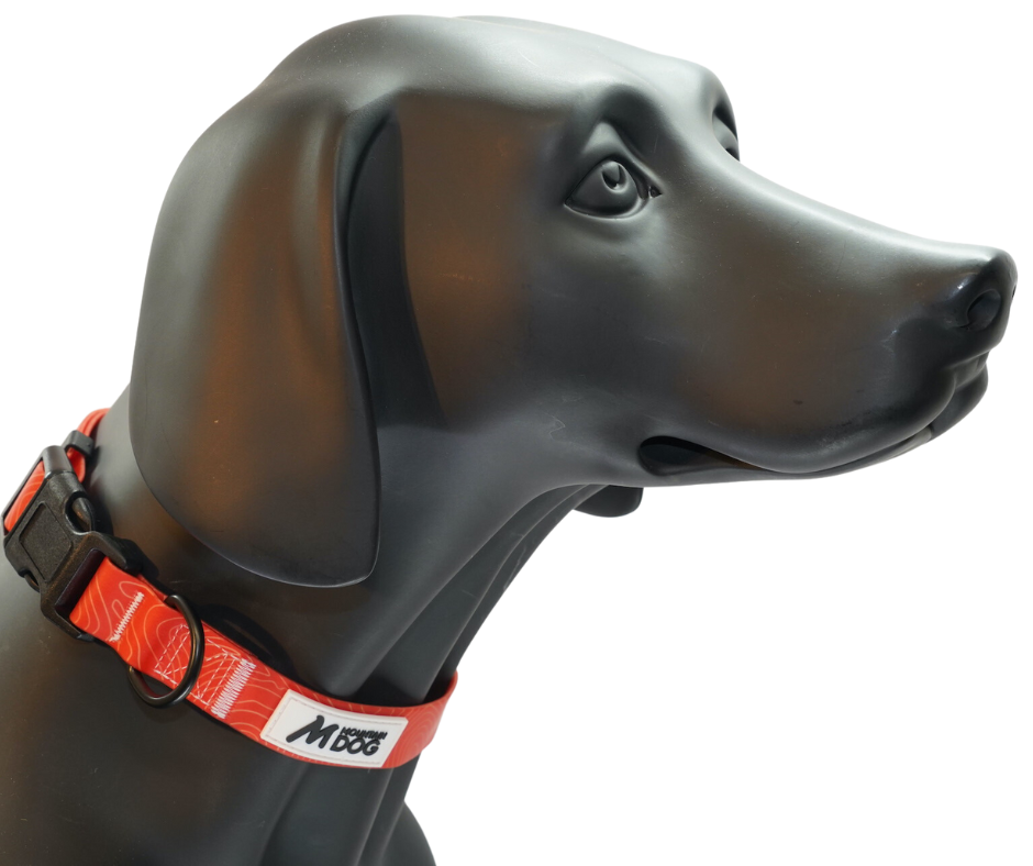 MDOG - Lakeland Waterproof Collar - Winter Sale