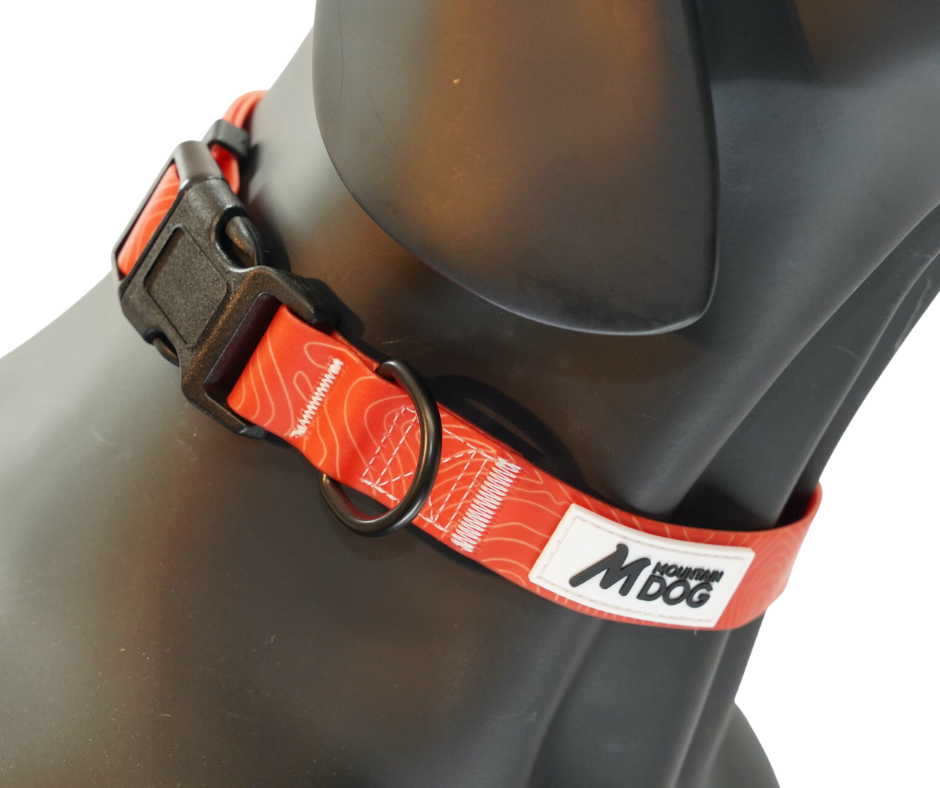 MDOG - Lakeland Waterproof Collar - Winter Sale