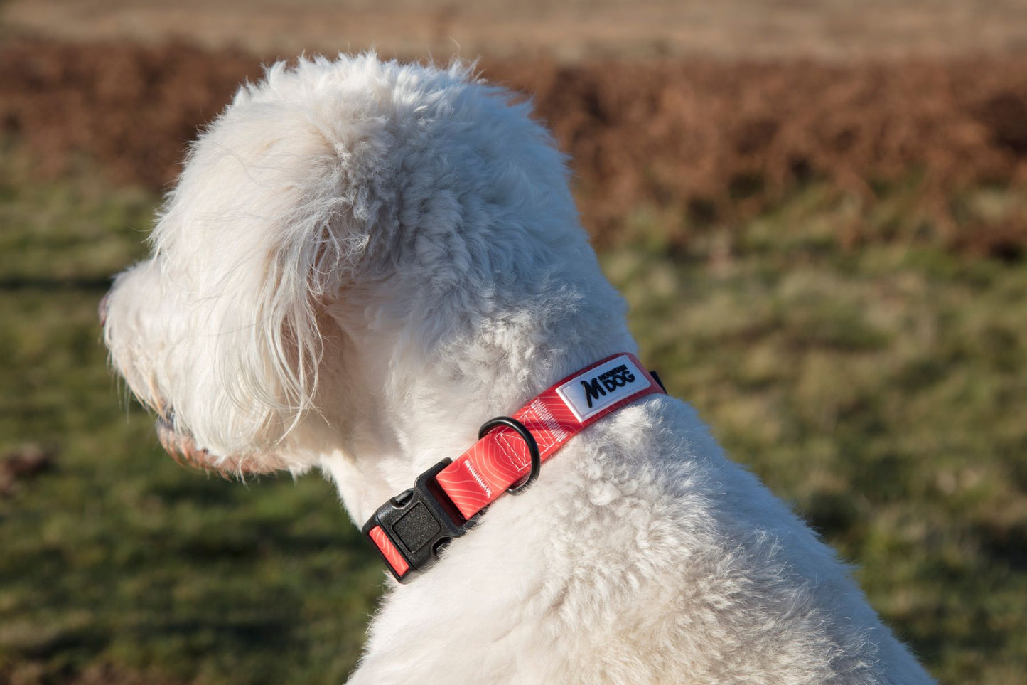 MDOG - Lakeland Waterproof Lead - Winter Sale