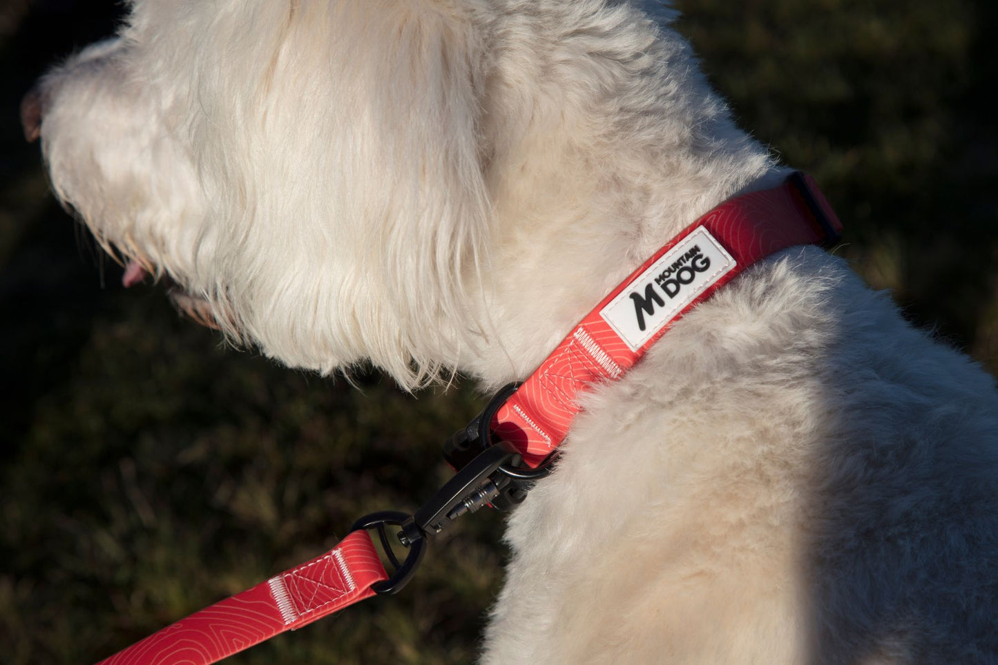 MDOG - Lakeland Waterproof Lead - Winter Sale