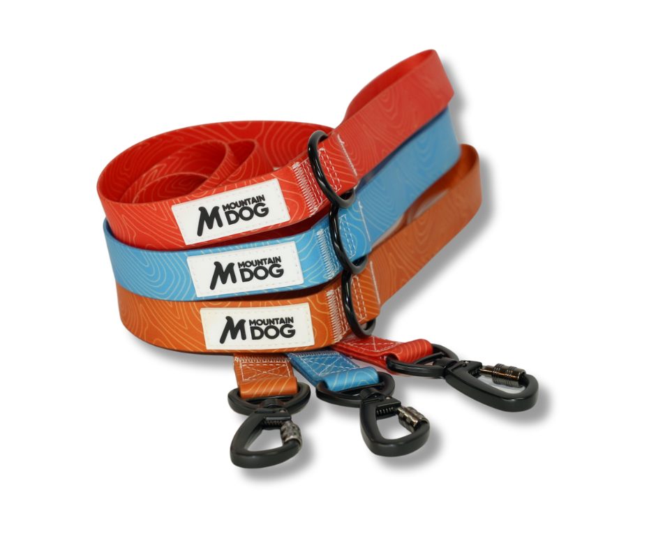 MDOG - Lakeland Waterproof Lead - Winter Sale
