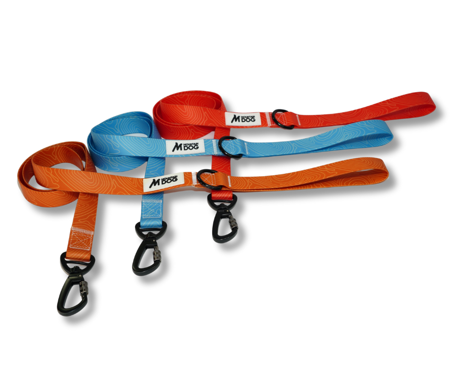 MDOG - Lakeland Waterproof Lead - Winter Sale