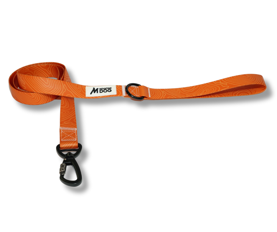 MDOG - Lakeland Waterproof Lead - Winter Sale