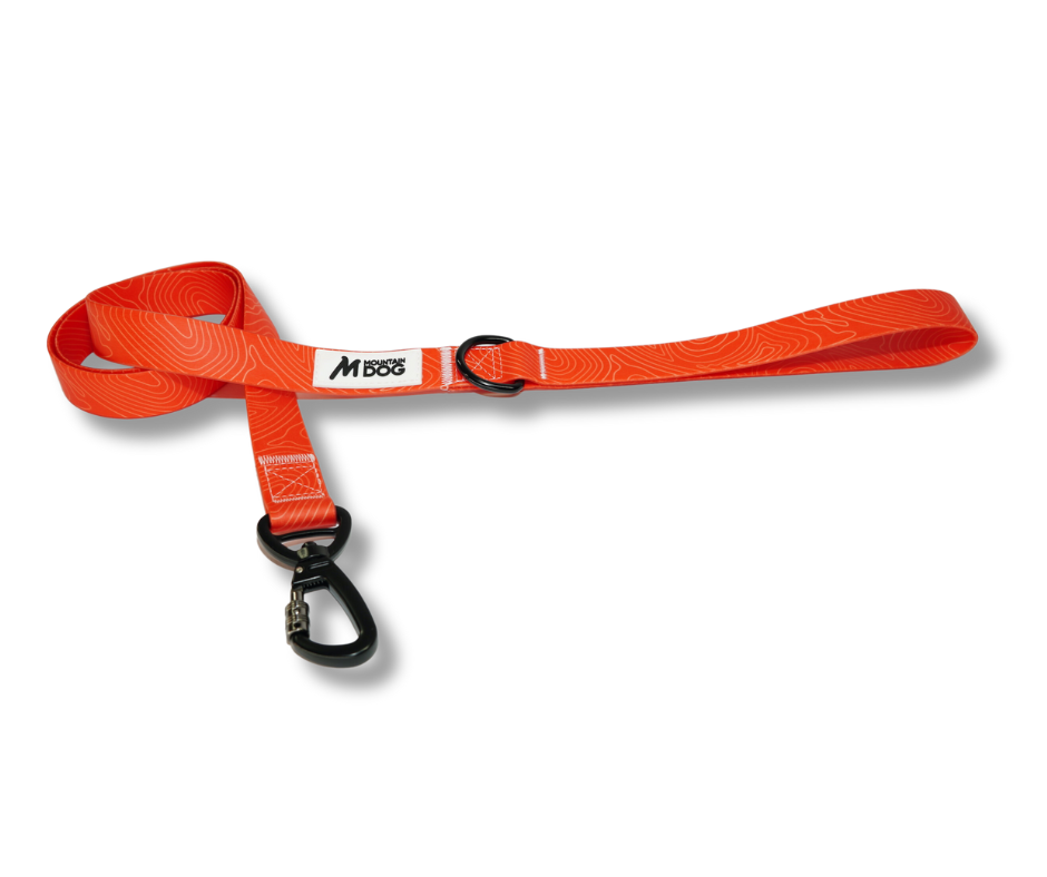 MDOG - Lakeland Waterproof Lead - Winter Sale