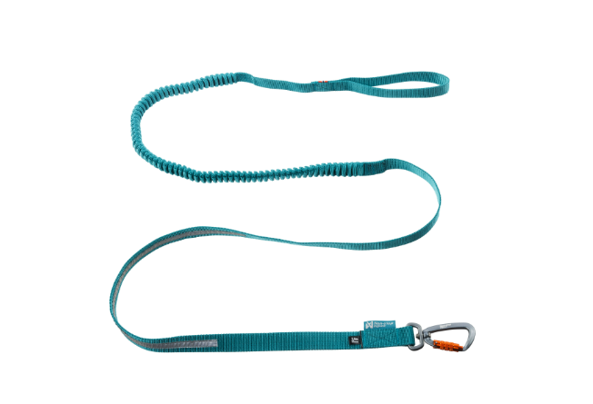 Non-stop Dogwear - Touring Bungee Leash