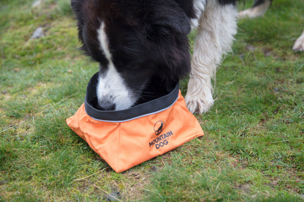 MDOG - Collapsible Large Travel Bowl *WINTER SALE*